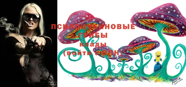 трава Верея