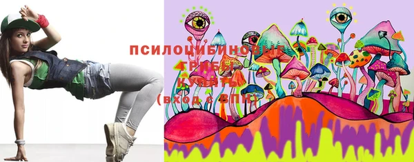 гидра Сосновоборск