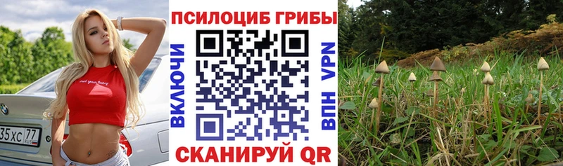 OMG рабочий сайт  Малаховка  Псилоцибиновые грибы MAGIC MUSHROOMS 